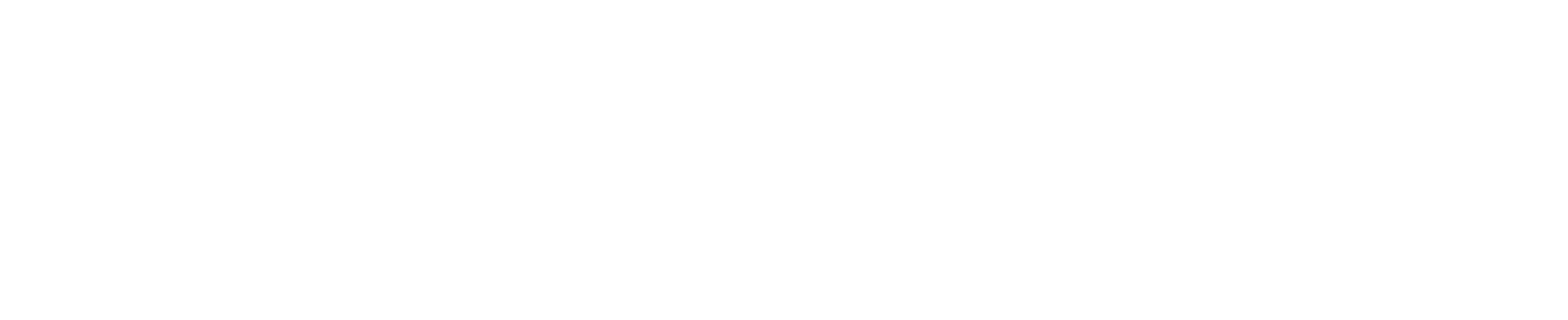 Compagnie L'oiseau Lune
